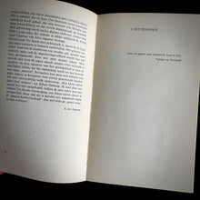 Load image into Gallery viewer, Menno ter Braak - Démasqué der schoonheid. Stoa-reeks