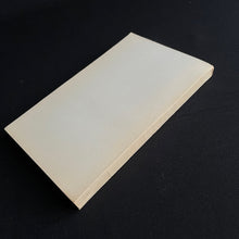 Load image into Gallery viewer, Menno ter Braak - Politicus zonder partij. Stoa-reeks