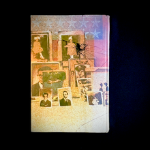 Load image into Gallery viewer, Joyce Carol Oates - Angel of Light