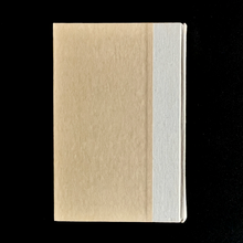 Load image into Gallery viewer, Joyce Carol Oates - Angel of Light