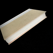 Load image into Gallery viewer, Joyce Carol Oates - Angel of Light