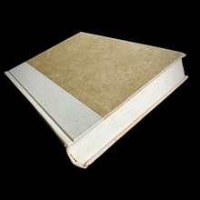 Load image into Gallery viewer, Joyce Carol Oates - Angel of Light