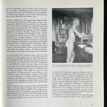 Load image into Gallery viewer, Ulf Erdmann Ziegler - Nackt unter Nackten