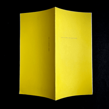 Load image into Gallery viewer, Dirk van Bastelaere - The Style Manual; en Astrid Lampe - Gedichten Blicero Books