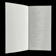 Load image into Gallery viewer, Dirk van Bastelaere - The Style Manual; en Astrid Lampe - Gedichten Blicero Books