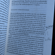Load image into Gallery viewer, Filip Rogier - Monologen met Jozef Deleu Interviewboek Blicero Books