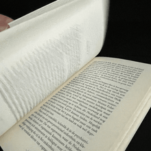 Load image into Gallery viewer, Gerard Reve - Het Boek Van Violet En Dood Novel Blicero Books