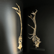 Load image into Gallery viewer, Jan Fabre - Chapitres I-XVIII. Cires et Bronzes Art Book Catalog