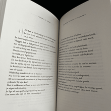 Load image into Gallery viewer, Jozef Deleu - Voorbij de grens (Met opdracht) Prose & prose poetry Eerste druk, gesigneerd, met opdracht