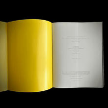 Load image into Gallery viewer, Richie Unterberger - White Light / White Heat. The Velvet Underground Day-By-Day Chronicle Blicero Books