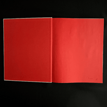 Load image into Gallery viewer, Steve Schapiro - Then and Now Photography book Blicero Books