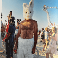 Load image into Gallery viewer, Steve Schapiro - Then and Now Photography book Blicero Books