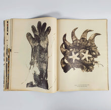 Load image into Gallery viewer, 1990 - Andy Warhol's Interview - March issue - Rob Lowe (cover) Magazine Blicero Books