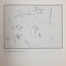 Load image into Gallery viewer, Ansel Adams. New Light - Essays on his Legacy and Legend Book Essays