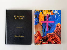 Load image into Gallery viewer, David Byrne - Strange Ritual (Japanese Edition) Book Rare