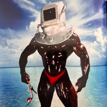 Load image into Gallery viewer, David Lachapelle - Lachapelle Land Photo Book First edition. Numbered.