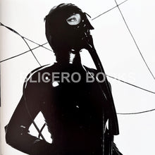 Load image into Gallery viewer, DeMask - Mask Collection Fetish Fashion catalog Scarce