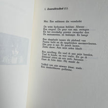 Load image into Gallery viewer, Erik Spinoy, Dirk van Bastelaere - Golden Boys (signed) Limited edition book Blicero Books