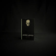 Load image into Gallery viewer, Geert Lernout - James Joyce, Schrijver Books Blicero Books