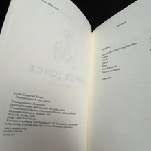 Load image into Gallery viewer, Geert Lernout - James Joyce, Schrijver Books Blicero Books