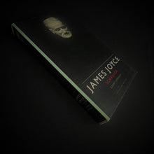 Load image into Gallery viewer, Geert Lernout - James Joyce, Schrijver Books Blicero Books