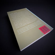 Load image into Gallery viewer, Geert Lernout - James Joyce, Schrijver Books Blicero Books