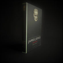 Load image into Gallery viewer, Geert Lernout - James Joyce, Schrijver Books Blicero Books