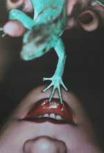 Load image into Gallery viewer, Gu Lu - Set of Prints Blicero Books