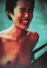 Load image into Gallery viewer, Gu Lu - Set of Prints Blicero Books