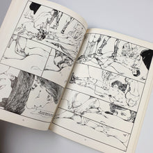 Load image into Gallery viewer, Guido Crepax - Venus in Furs Blicero Books