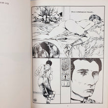 Load image into Gallery viewer, Guido Crepax - Venus in Furs Blicero Books