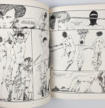 Load image into Gallery viewer, Guido Crepax - Venus in Furs Blicero Books