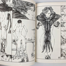 Load image into Gallery viewer, Guido Crepax - Venus in Furs Blicero Books