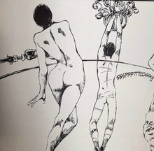 Load image into Gallery viewer, Guido Crepax - Venus in Furs Blicero Books