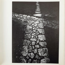 Load image into Gallery viewer, John Szarkowski and Shoji Yamagishi - New Japanese Photography Book Blicero Books