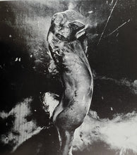 Load image into Gallery viewer, John Szarkowski and Shoji Yamagishi - New Japanese Photography Book Blicero Books