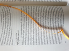 Load image into Gallery viewer, Joost Zwagerman (samensteller) - De Nederlandse en Vlaamse literatuur vanaf 1880 in 200 essays Anthologie Blicero Books