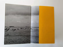 Load image into Gallery viewer, Joost Zwagerman (samensteller) - De Nederlandse en Vlaamse literatuur vanaf 1880 in 200 essays Anthologie Blicero Books