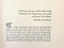 Load image into Gallery viewer, Les maudits de la littérature mondiale. 12 volumes Book Blicero Books