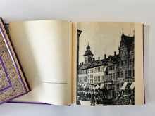 Load image into Gallery viewer, Les maudits de la littérature mondiale. 12 volumes Book Blicero Books