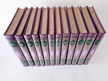 Load image into Gallery viewer, Les maudits de la littérature mondiale. 12 volumes Book Blicero Books