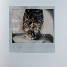 Load image into Gallery viewer, Li Xiang, aka Gulu - Wildphotos Photography book Limited Edition of 300