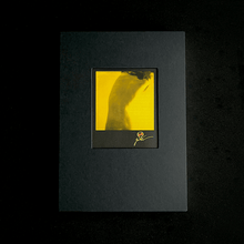 Load image into Gallery viewer, Li Xiang, aka Gulu - Wildphotos Photography book Limited Edition of 300