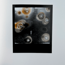Load image into Gallery viewer, Li Xiang, aka Gulu - Wildphotos Photography book Limited Edition of 300