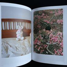 Load image into Gallery viewer, Luo Yang - Catalog Exhibition Catalog Limited edition of 300 copies