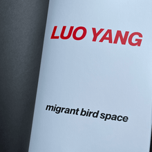 Load image into Gallery viewer, Luo Yang - Catalog Exhibition Catalog Limited edition of 300 copies