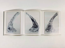 Load image into Gallery viewer, Patrick Tosani Book Catalog