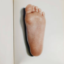 Load image into Gallery viewer, Patrick Tosani Book Catalog