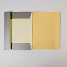 Load image into Gallery viewer, Paul Joostens - Salopes Limited Edition Reprint