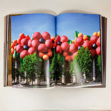 Load image into Gallery viewer, Paul McCarthy - LaLa Land. Parody Paradise Book Blicero Books
